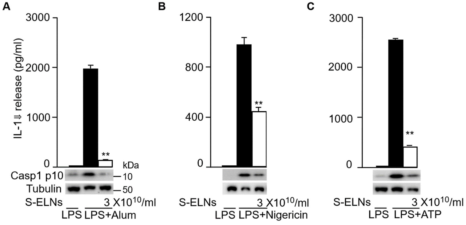 Shiitake exosomes reduced NLRP3 inflammasome response to multiple stimuli.